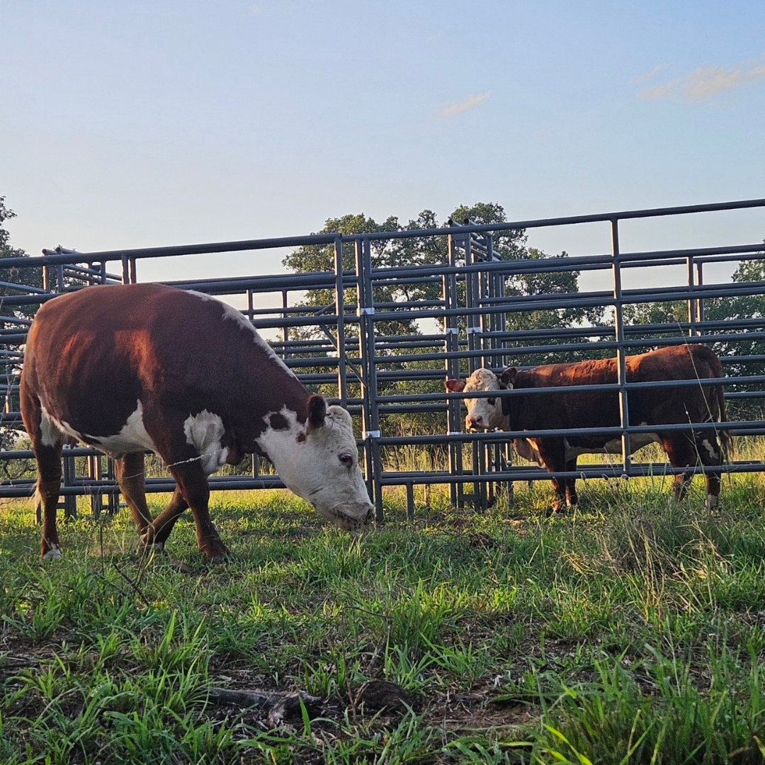 DuBose livestock equipment